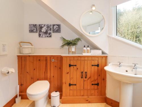 a bathroom with a toilet and a sink at Glen View in Dumfries