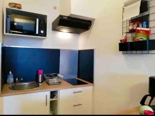 uma cozinha com um lavatório e um micro-ondas em Appartement 33 m2 proche centre em Orcières