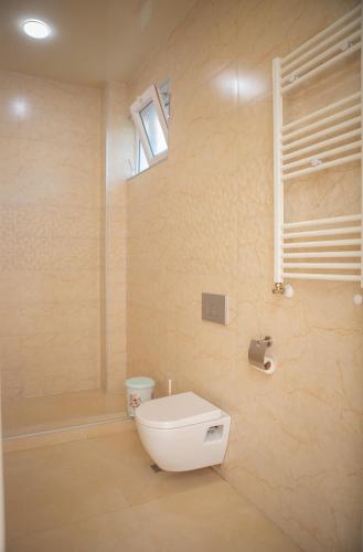 a bathroom with a white toilet and a shower at Chakvi Lux House in Chakvi