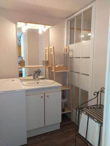 une salle de bain avec un lavabo et un miroir dans l'établissement Cap Lihou, à Granville