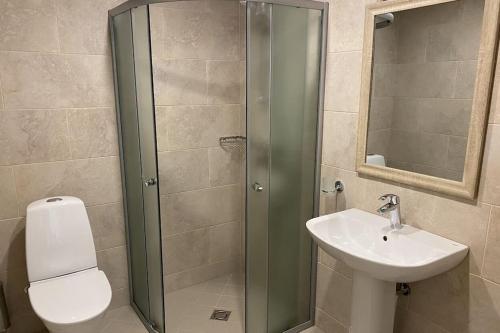 een badkamer met een douche, een wastafel en een toilet bij Tiigi Apartment in Paide