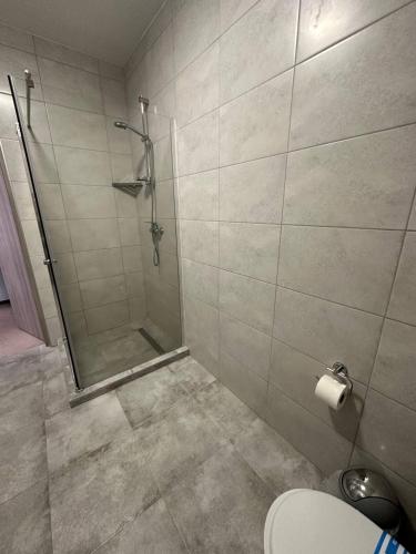 a bathroom with a shower stall and a toilet at Готель-спа "Еліт" in Kolʼchyno
