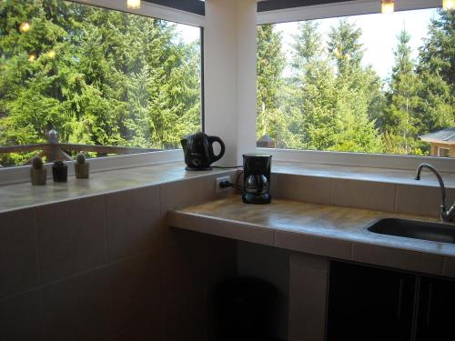 eine Küche mit einem Waschbecken und einem großen Fenster in der Unterkunft Cabañas Las gemelas de Puelo in Las Golondrinas