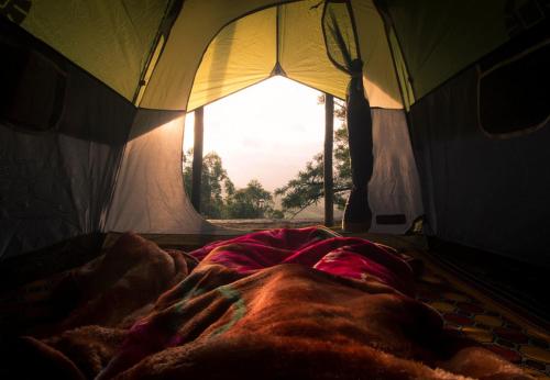 a bed in a tent with a window at Campper Campwoody Munnar in Munnar