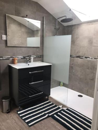 une salle de bain avec un lavabo, un miroir et une douche dans l'établissement La vigne et la Loire, à Pouilly-sur-Loire