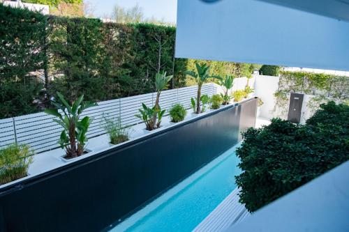Gallery image of White Hotel in Vieste