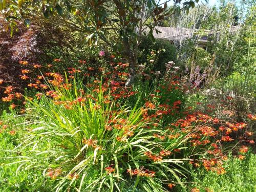 a garden with many different flowers and plants at Hobreid Park in Woodend
