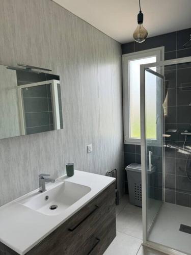 une salle de bain avec un lavabo et une douche dans l'établissement Maison La méduse, à Quettehou