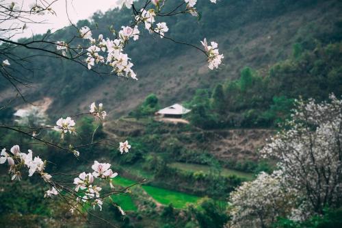 vista su una valle con una casa e fiori di Homestay Minh Ngọc a Ban Hin Lom