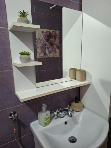a bathroom with a sink and a mirror above it at CORAL apartment in Târgu-Mureş