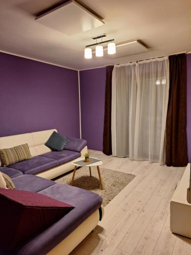 a living room with purple walls and a couch at CORAL apartment in Târgu-Mureş