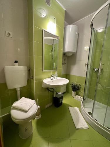 a green bathroom with a toilet and a sink at App Bovec in Bovec