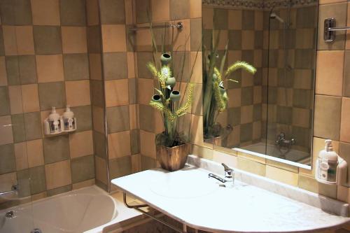 a bathroom with a sink and a tub with a plant at Hotel Santiago in Benavente