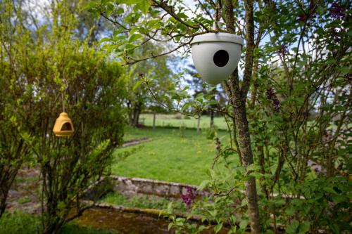 a bird feeder hanging from a tree in a yard at La Villa Beausejour in Baives