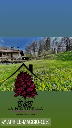 a red kite sitting in a field of grass at HOTEL LA NIGRITELLA in Bardonecchia