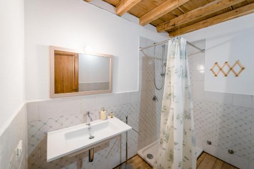 un bagno con lavandino e doccia di Agriturismo Bio San Mamiliano a Grosseto