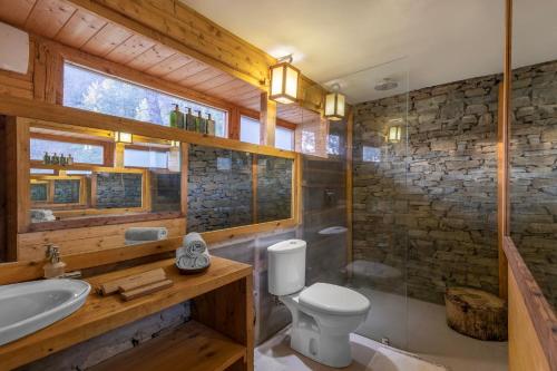 a bathroom with a toilet and a sink at ELIVAAS 4 BHK with Garden & Sauna - Skylounge in Shimla