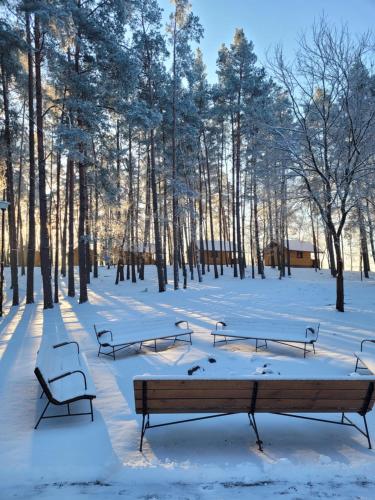 un grupo de bancos cubiertos de nieve en un parque en Półwysep Lipa, en Wdzydze Tucholskie