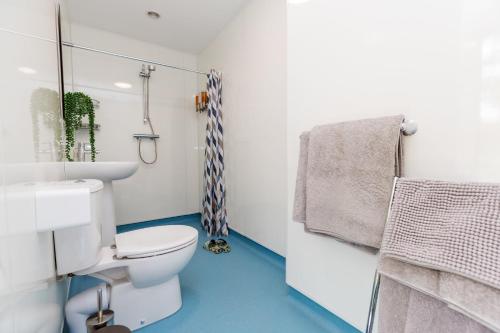 BossingtonにあるVictoria Hut Allerfordのバスルーム(トイレ、洗面台、シャワー付)
