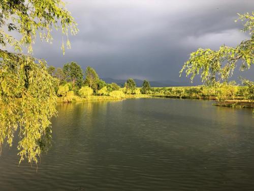 a river with trees and a cloudy sky in the background at Casa de la Baltă in Rieni