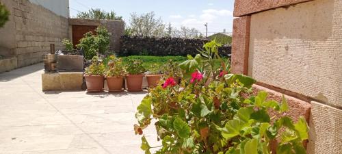 un groupe de plantes en pot dans une cour dans l'établissement ULAŞ CAVE HOTEL, à Ürgüp