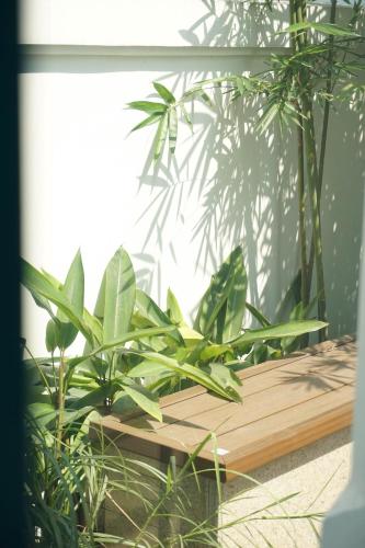 Κήπος έξω από το domdomHOUSE Villa - 1min walk to beach