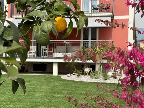 an apartment with an orange tree in front of a building at Garni Hotello Sport And Relax in Riva del Garda