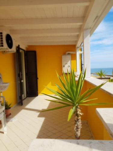 a palm tree in a room with a view of the ocean at Signora Irma in Margherita di Savoia