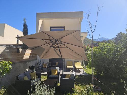 T1 bis avec mezzanine, belle terrasse et jardinet.