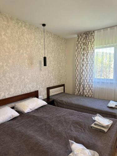 a bedroom with two beds and a window at Готель-спа "Еліт" in Kolʼchyno