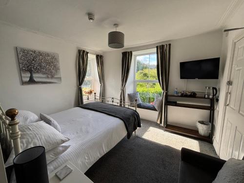 a bedroom with a bed and a television and a window at The Queens Hotel Harlech in Harlech