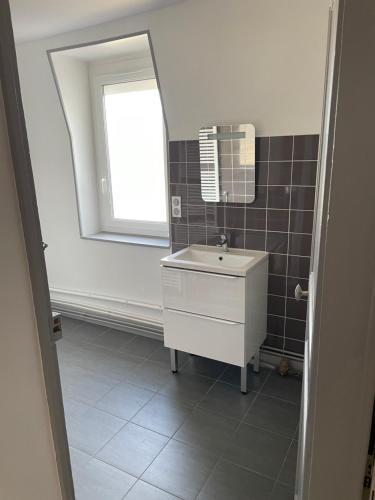 une salle de bain avec un lavabo et un miroir dans l'établissement Bel appartement 2 chambres n11, à Moulins
