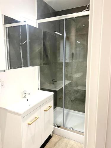 une salle de bain avec une douche, un lavabo et une baignoire dans l'établissement Appartement T2, atypique, proche du centre, à Antibes