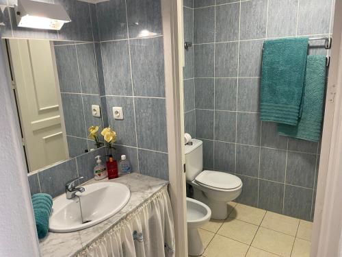 uma casa de banho com um lavatório e um WC em Seaview Apartment 414 em Morro del Jable