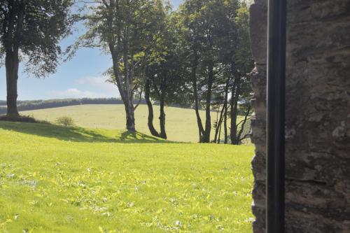 a field of green grass with trees in the background at The Wool Barn Simonsbath in Exford