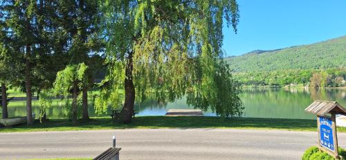 a lake with a tree and a sign next to it at Apartment Sabljaci by the Lake in Ogulin