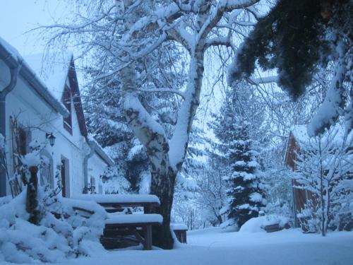 a snow covered yard with a church and a tree at Bozsoki Pihenő in Bozsok