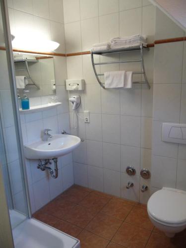 a bathroom with a sink and a toilet at Gasthof Ziegelhof in Eichenwinden
