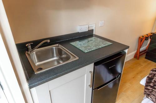 溫德米爾的住宿－Roger Ground Guest House - with Onsite Car Parking，厨房柜台设有水槽和洗碗机。