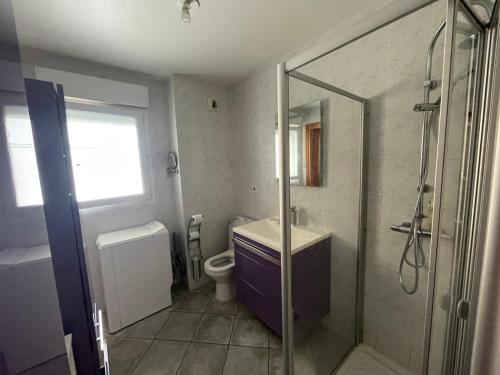une salle de bain avec une douche, un lavabo et des toilettes dans l'établissement Immeuble le Mozart, à Ajaccio