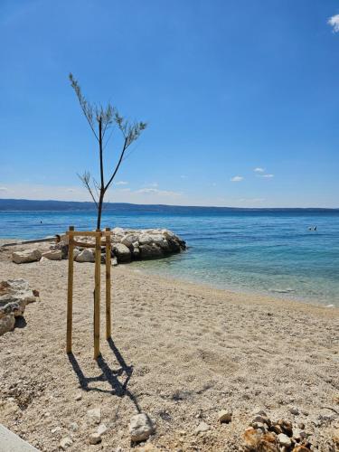 a tree in the sand on a beach at Apartment Hajdi in Podstrana