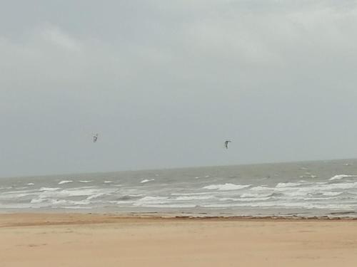 a group of people flying kites over the ocean at Domaine de la lumière in Saint-Jean-de-Monts