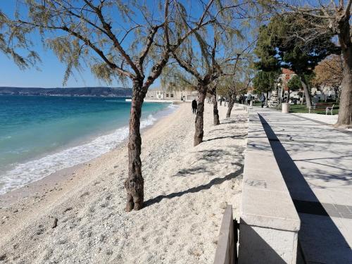 Kaštel Novi的住宿－Mila，海边的沙滩上种有树木