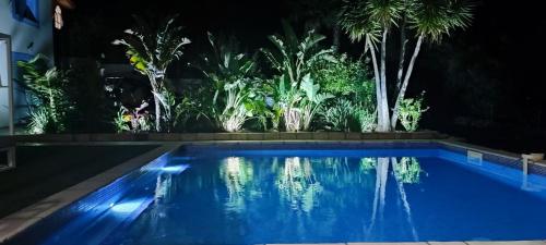 - une piscine bleue ouverte la nuit avec des palmiers dans l'établissement Villa Andalucia, Piscine Chauffée, à La Ciotat