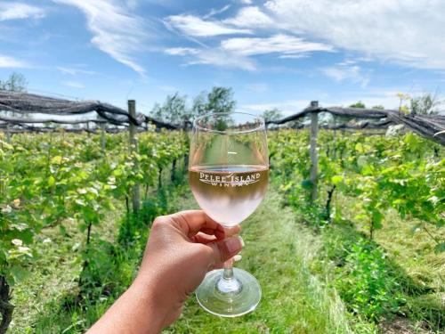 a person holding a glass of wine in a vineyard at Cliffside Suite #3 - Seacliff Beach Suites in Leamington