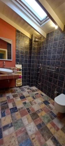 a bathroom with a toilet and a sink at Aτos Comfort Villa in Asos