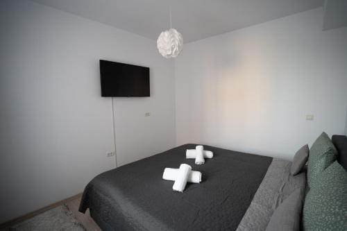 Televisyen dan/atau pusat hiburan di Alex 1 Apartament