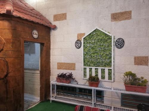 a room with a window and potted plants on a wall at Yaso Roof & Apartments in Amman