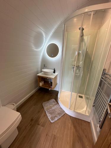 een badkamer met een douche en een wastafel bij Dilham Hall Retreats in Dilham