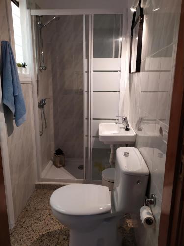 a bathroom with a toilet and a sink and a shower at Los atardeceres más bellos del Sauzal in Sauzal